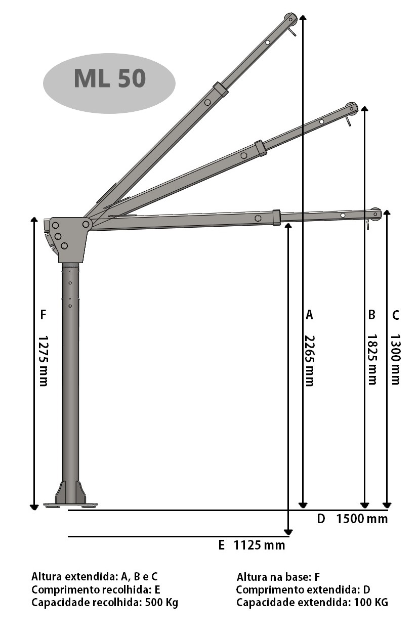 Gráfico de Cargas ML 50